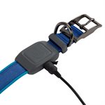Nite Ize collier à DEL rechargeable NiteDog - grande - bleu 